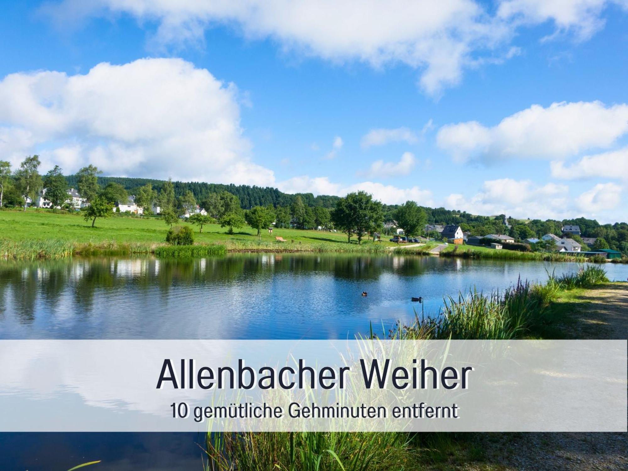 Natur-Chalet Zum Nationalpark Marie-Luise Inkl E-Auto Allenbach Luaran gambar