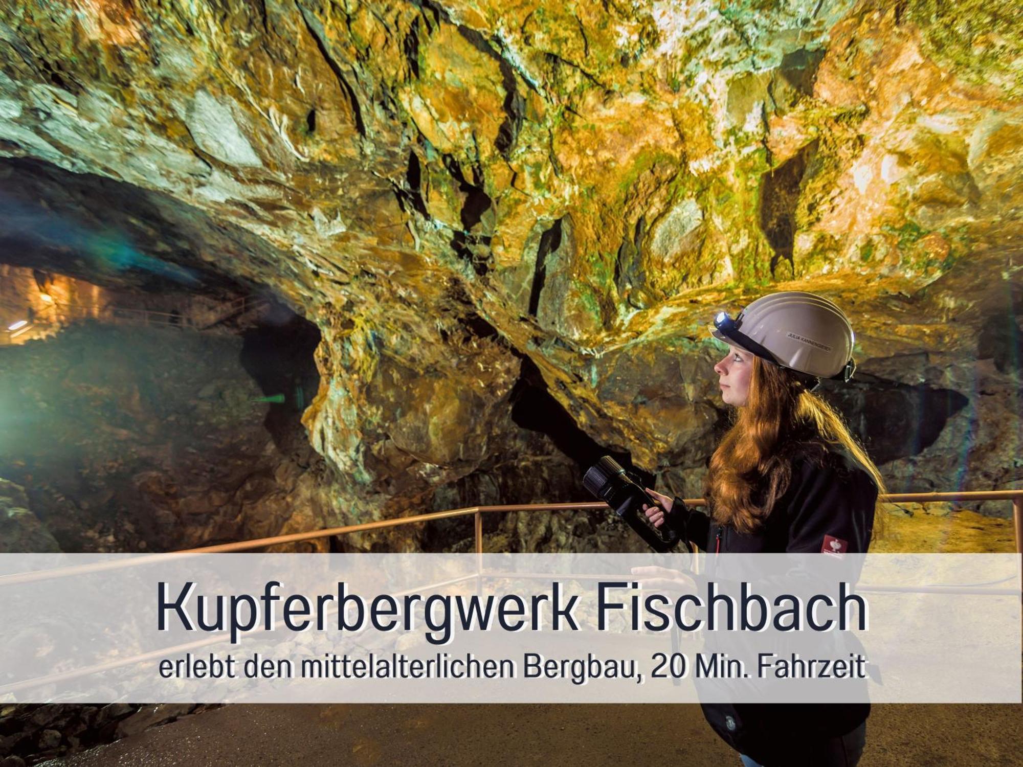 Natur-Chalet Zum Nationalpark Marie-Luise Inkl E-Auto Allenbach Luaran gambar