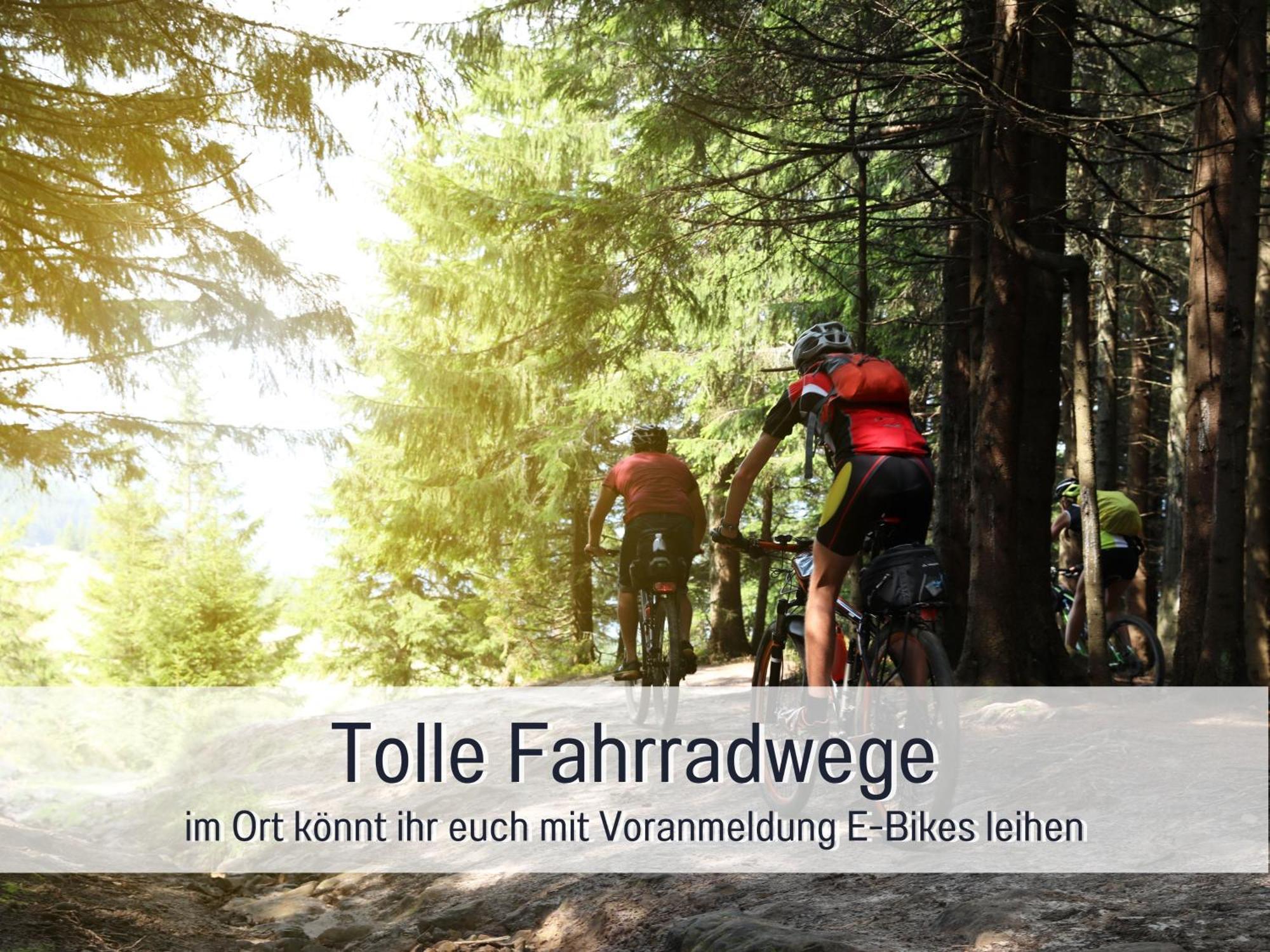 Natur-Chalet Zum Nationalpark Marie-Luise Inkl E-Auto Allenbach Luaran gambar