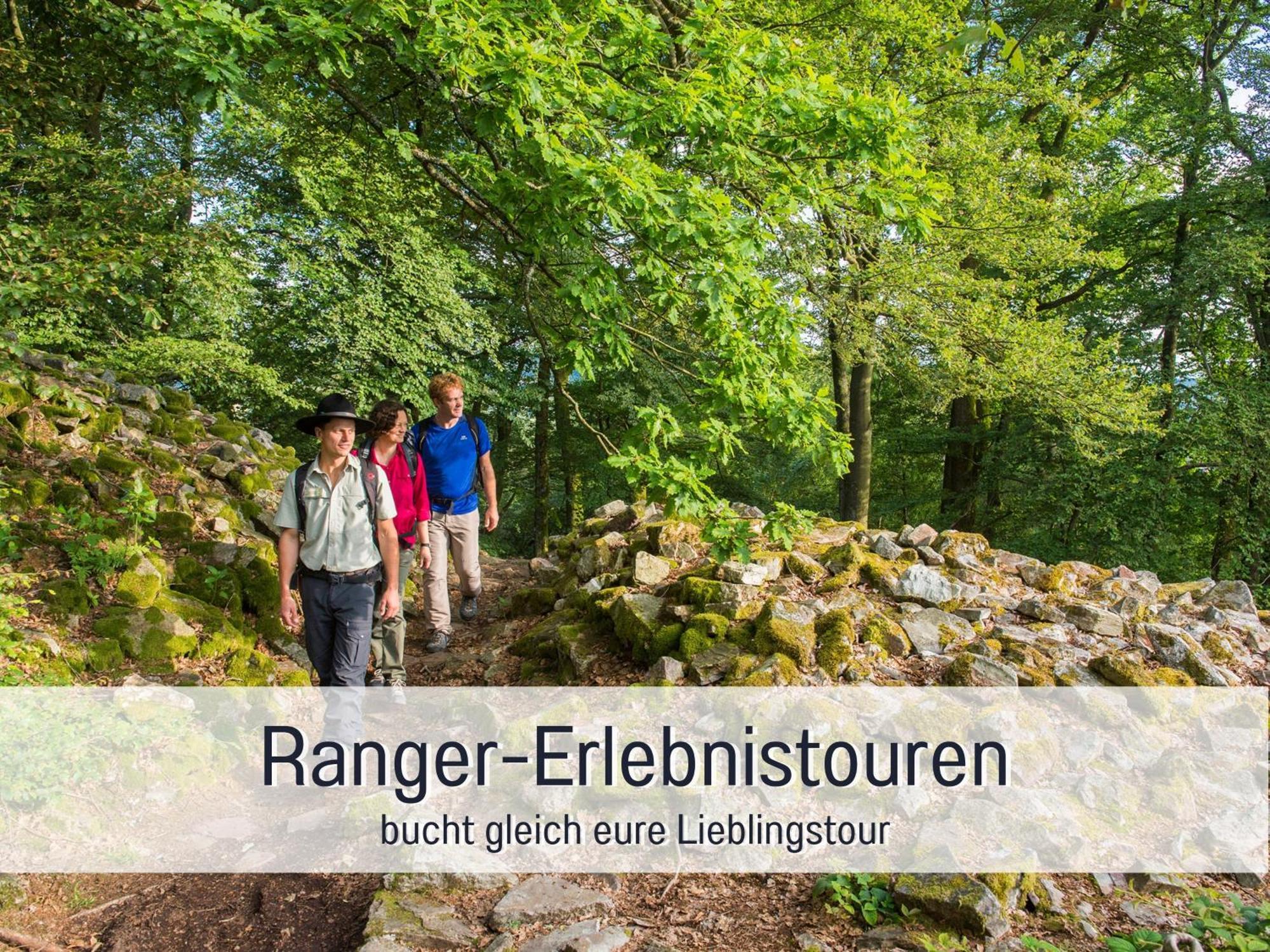 Natur-Chalet Zum Nationalpark Marie-Luise Inkl E-Auto Allenbach Luaran gambar