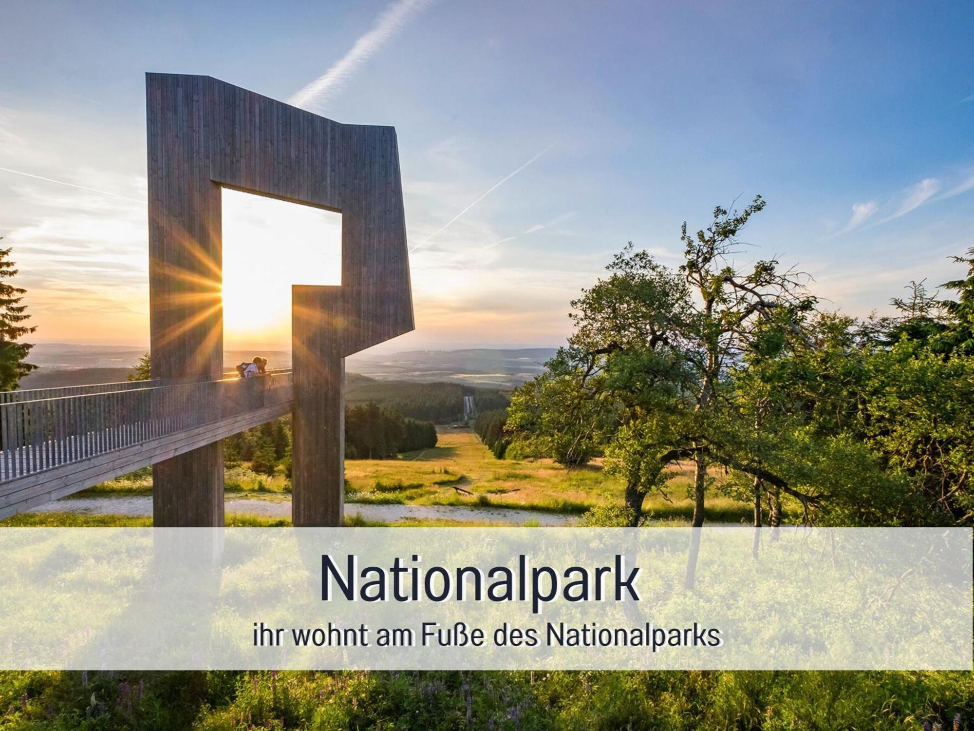Natur-Chalet Zum Nationalpark Marie-Luise Inkl E-Auto Allenbach Luaran gambar